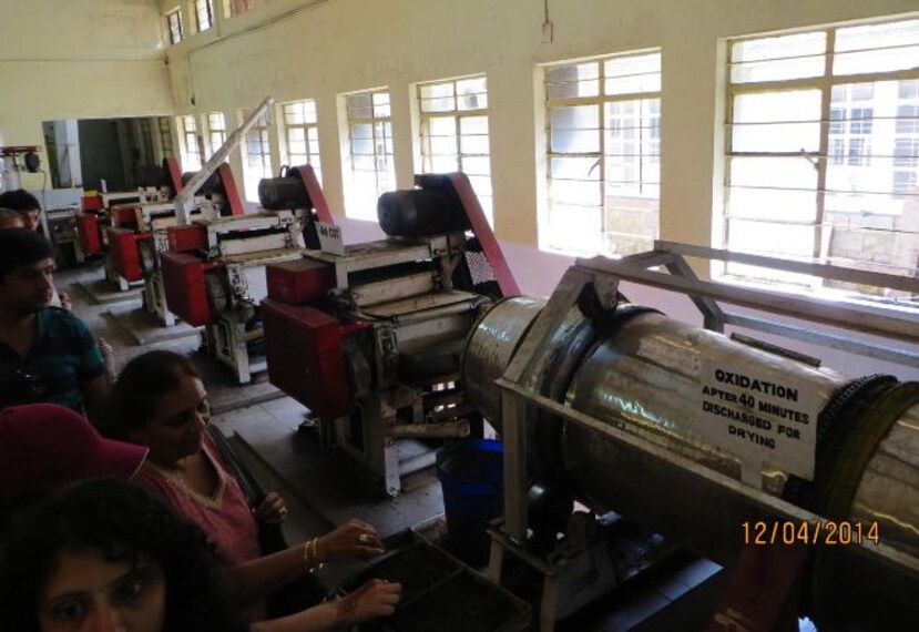 visit the tea museum_3